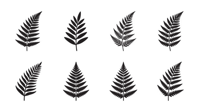 Set of eight isolated black fern leaves silhouette icons.