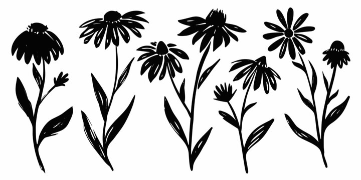 Wildflower Silhouette Illustration Black Floral Design On Transparent Background