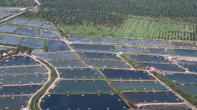 Aerial view of fishing farm aquaculture pond network