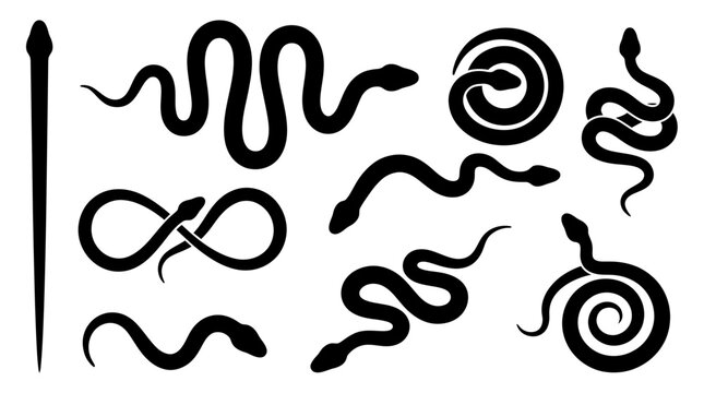 Black snake silhouettes set in various slithering and coiled poses on white background, Symbolizing danger and wisdom, illustrating creative tattoo designs or wildlife emblem branding projects