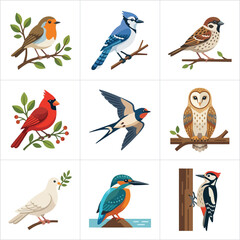 Fototapeta premium A collection of nine distinct bird illustrations, featuring common species like robin, blue jay, cardinal, owl, and kingfisher, each depicted in a clean, vector style.