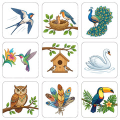 Fototapeta premium A collection of nine vibrant illustrations showcasing various birds like a swallow, robin, peacock, hummingbird, swan, owl, and toucan, along with a birdhouse and colorful feathers.