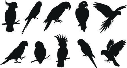 Black parrot silhouette vector illustration set featuring diverse tropical birds cockatoos and macaws perched and flying isolated on white background  © MstMonjila