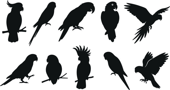 Black parrot silhouette vector illustration set featuring diverse tropical birds cockatoos and macaws perched and flying isolated on white background
