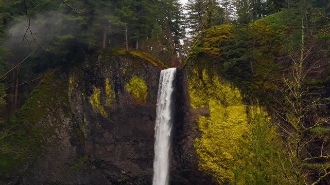Latourell Falls plunging beside vivid yellow foliage and basalt cliffs as mist and clouds float from trees