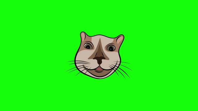 Smiling cartoon cat head on green screen background
