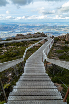 Wooden boardwalk over alpine plants and boulders on Mount Wellington.