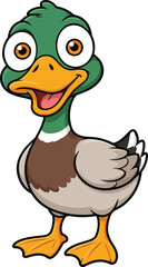 Fototapeta premium Duck
