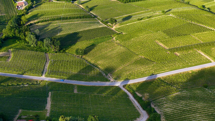 Fototapeta premium Aerial View of Lush Green Vineyards and Rural Roads in Piedmont Italy