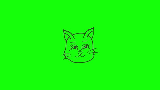 Animated cat head on green screen background