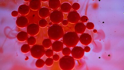 red blood cells © Amanda