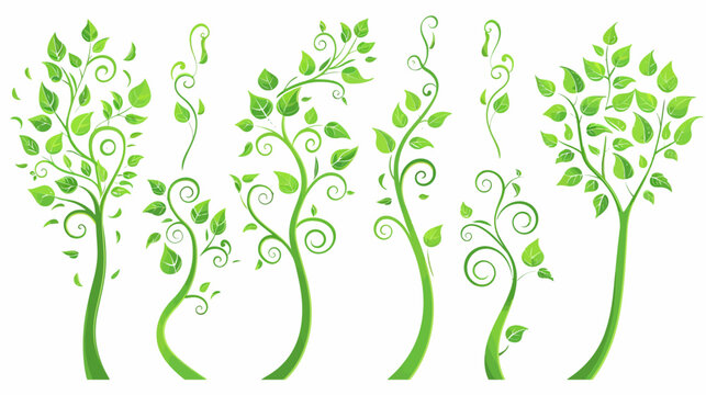Green abstract trees and vines with leaves illustration on white background