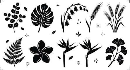 Elegant botanical silhouette collection featuring tropical leaves wildflowers fern and wheat decorative plant vector illustration set © sumi