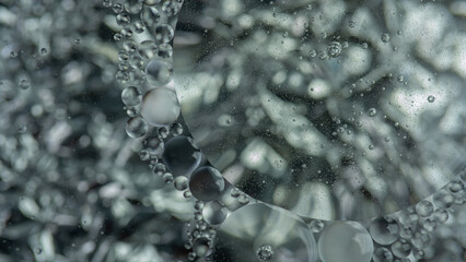 drops of water © Amanda