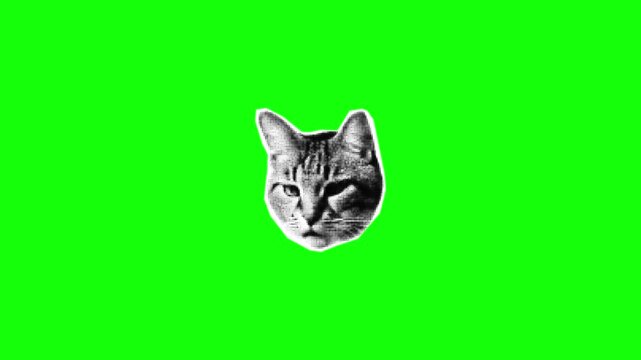 Close-up of a Black Cat Head with Pink Heart Cheeks on Green Screen