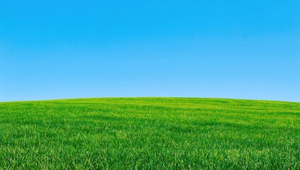 Obraz premium Vast, bright green, rolling grassland under a clear, vibrant blue sky