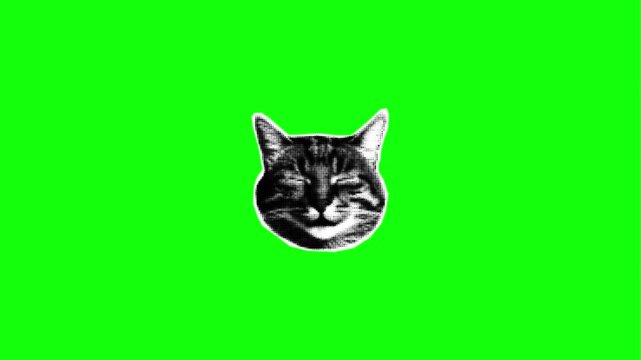 Close-up of a Cat Head on Green Screen Background for Digital Composition