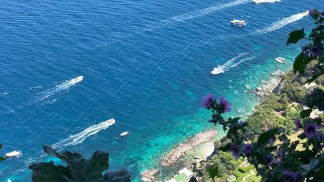 Scenic Aerial View of Multiple Luxury Boats on the Crystal Clear Turquoise and Blue Mediterranean Sea Along the Rocky Coastline of Capri Island Framed by Blooming Bougainvillea, Campania Italy
