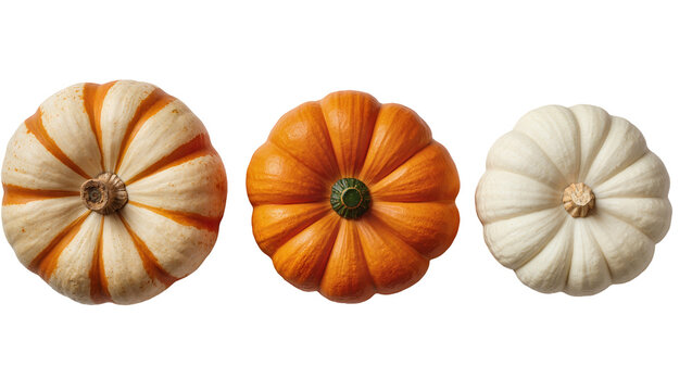 Three pumpkins orange white and striped, top view