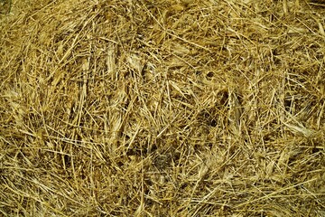 Natural textured background of dry golden hay straw bale close up © Iryna