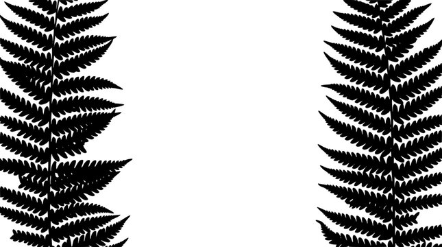 Black fern leaf silhouettes on white background border frame