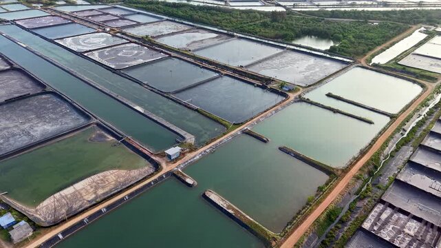 Aerial Drone View of Wastewater Treatment Ponds and Infrastructure