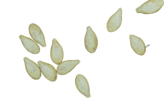Group of raw pumpkin seeds arranged on clear isolated transparent png background file