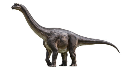 Sauropod dinosaur with long neck and tail, grey skin texture © Sophia