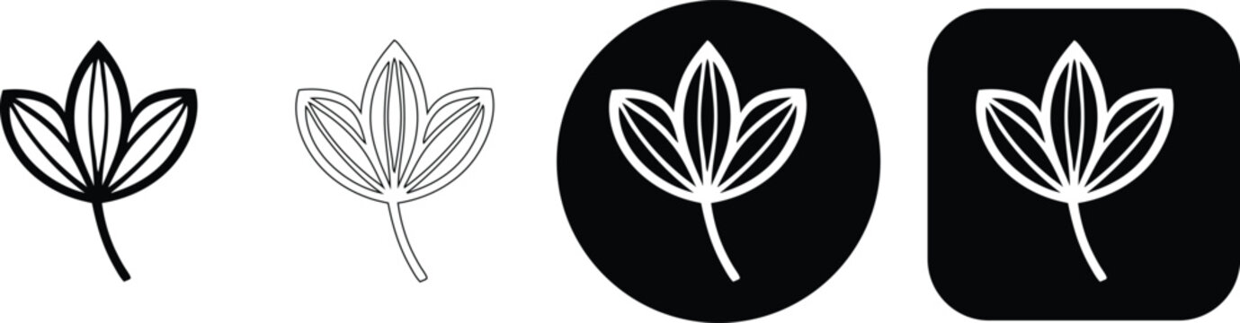 Set of four leaf in black and white featuring solid and outline styles on circular and square base backgrounds