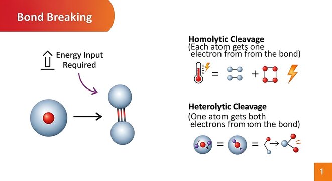 Chemical Bond Breaking and Cleavage Process.