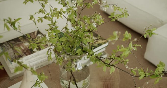 Fresh spring branches with green leaves and white blossoms in a glass vase standing on a wooden coffee table, creating a serene and cozy atmosphere in a modern minimalist living room