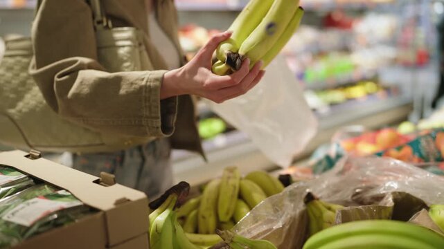 Young woman choosing and buying a bunch of fresh, ripe bananas in the fruit and vegetable section of a grocery store, placing them carefully into a transparent plastic bag for purchase