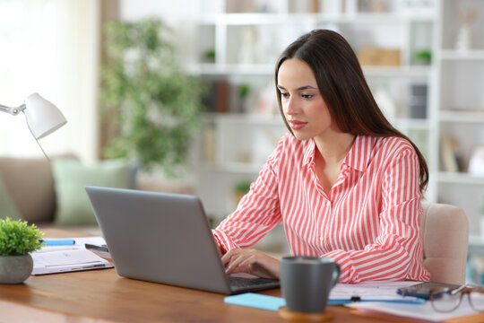 Serious freelance worker entering data on laptop