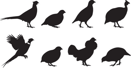 Fototapeta premium Vector set of black game bird silhouettes including pheasant quail and partridge on white background