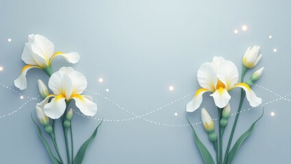 Obraz premium Close up of light blue and white irises with yellow centers on soft pastel background