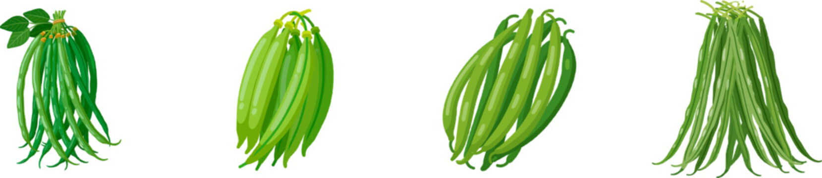 A vibrant flat vector icon showcases a bundle of fresh green string beans, tied with a golden ribbon, set against a pristine white backdrop