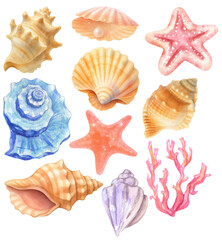 Fototapeta premium Set of seashell pattern graphic design png