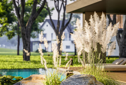 3d rendering of contemporary architectural luxury house exterior. Modern Scandinavian style family home with a white plaster walls, dark roof, and beautiful garden at golden hour