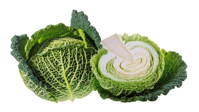 Savoy cabbage whole and halved, showing textured green leaves and white core