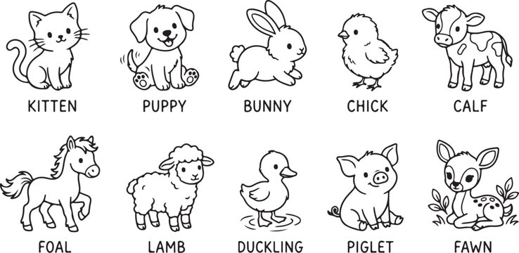 Cute baby farm animals collection kitten puppy bunny chick calf foal lamb duckling piglet fawn adorable hand drawn style.
