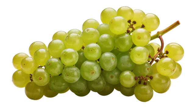 Green seedless grapes on vine