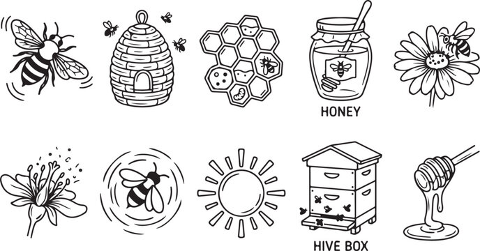 Beehive and honey products featuring bee hive honeycomb honey jar flower sun and honey dipper clean apiary illustration.
