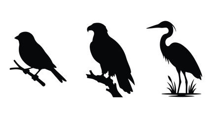 Fototapeta premium Black bird silhouettes set, wild eagle and heron vector icons, 3 bird species collection on white background for nature logo design