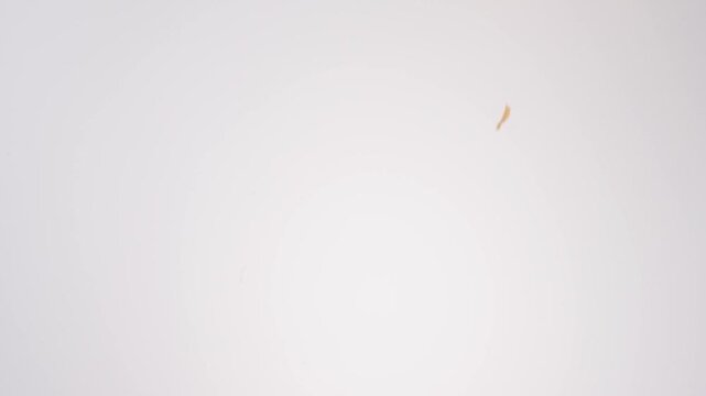 Golden buttery flaky croissants raining down on white seamless backdrop in cinematic slow motion. french bakery branding, parisian cafe content, brunch menu reels.