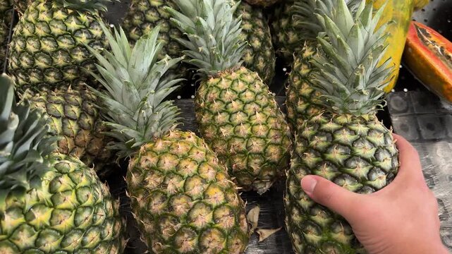 Customer hand lifts and rotates a single pineapple among a bin of pineapples and papayas in a retail fruit section, useful for grocery, diet or healthy eating themes.