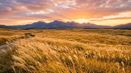 Fototapeta premium 黄金色の草原と山並みに沈む夕日