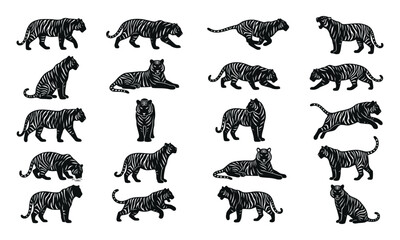 Obraz premium Collection of Tiger Silhouette Poses and Action Set Vector Illustration