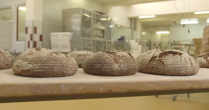 Row of fresh baked round whole grain sourdough bread loaves cooling on wooden table in bakery