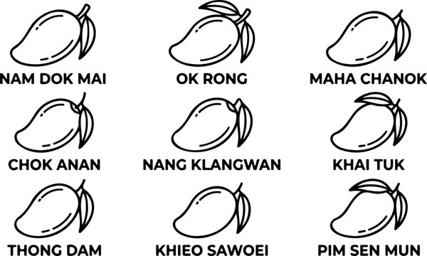 Variety of thai mango types comparison