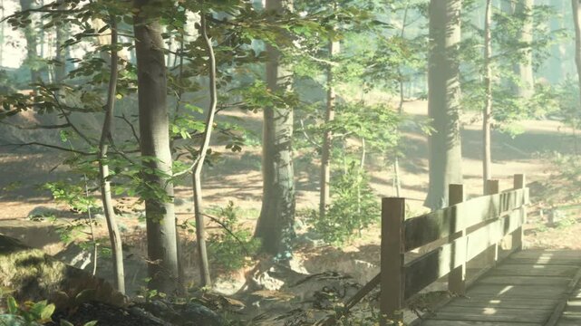 A wooden bridge crosses a small path in the forest. Trees surround the area with green leaves and sunlight filtering through. The scene shows a quiet moment in nature.